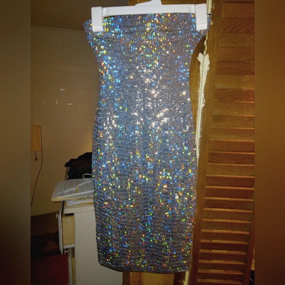 Fashion Nova Holographic Tube Dress